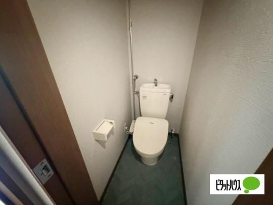 �y���̑��z�@�g�C��