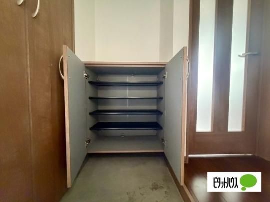 �y���̑��z�@���̑�