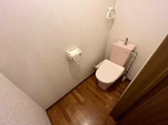 �y���̑��z�@�g�C��