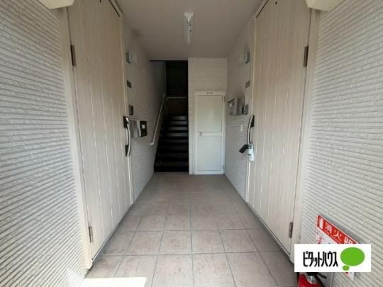�y�����O�ρz�@���r�[