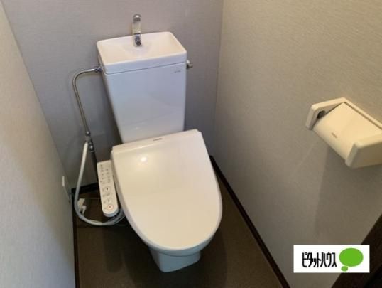 �y���̑��z�@�g�C��