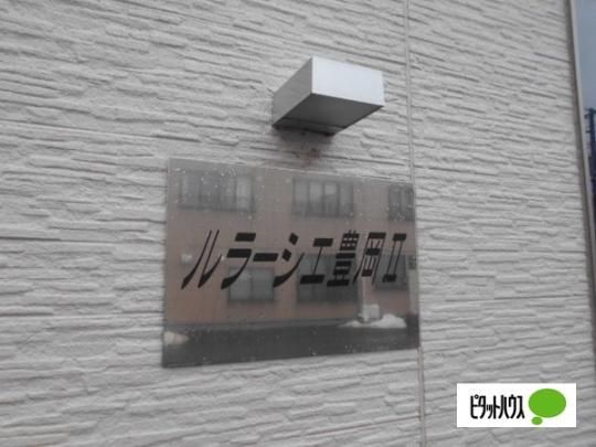 �y�����O�ρz�@���̑�