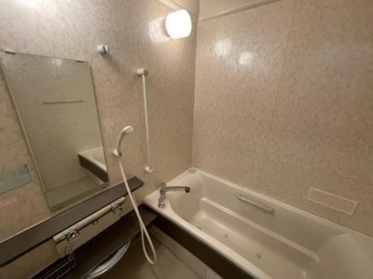 �y���̑��z�@�o�X�^�V�����[