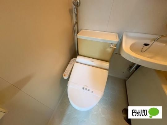 �y���̑��z�@�g�C��