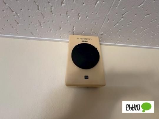 �y���̑��z�@�Z�L�����e�B