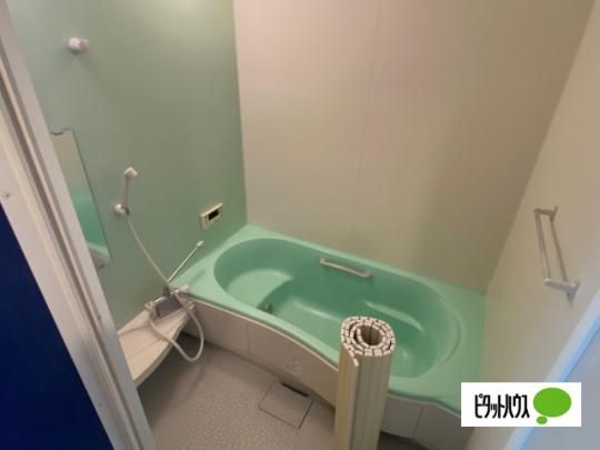 �y���̑��z�@�o�X�^�V�����[