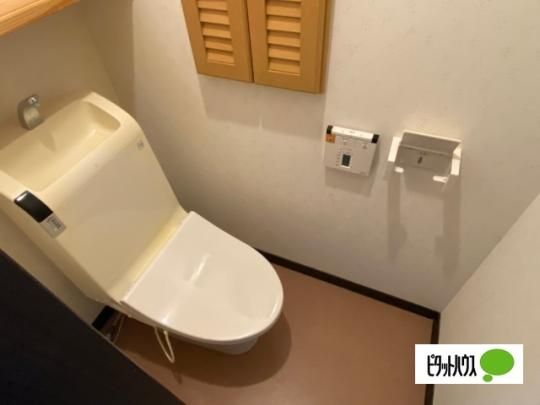 �y���̑��z�@�g�C��