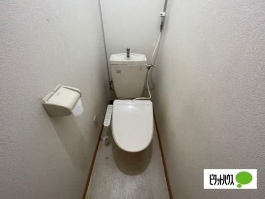 �y���̑��z�@�g�C��