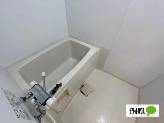�y���̑��z�@�o�X�^�V�����[