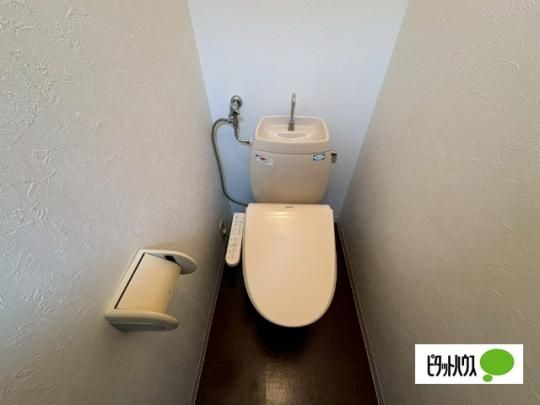 �y���̑��z�@�g�C��