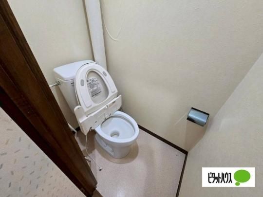 �y���̑��z�@�g�C��