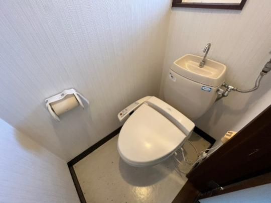 �y���̑��z�@�g�C��