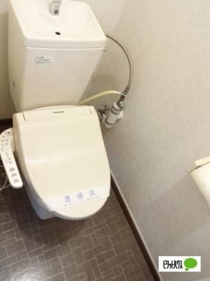 �y���̑��z�@�g�C��