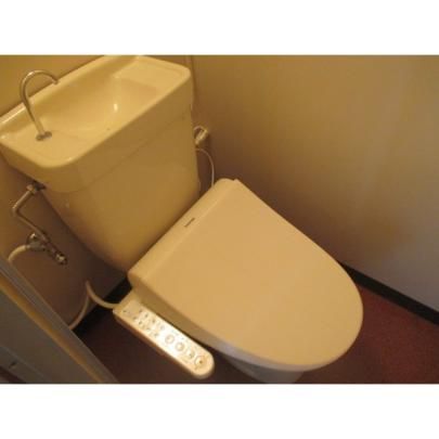 �y���̑��z�@�g�C��