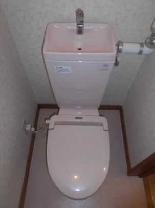 �y���̑��z�@�g�C��