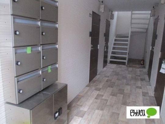 �y�����O�ρz�@�G���g�����X