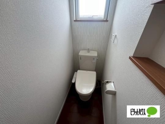 �y���̑��z�@�g�C��