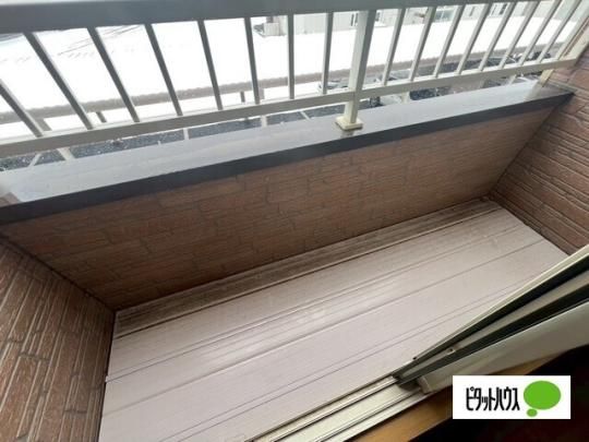 �y���̑��z�@�o���R�j�[