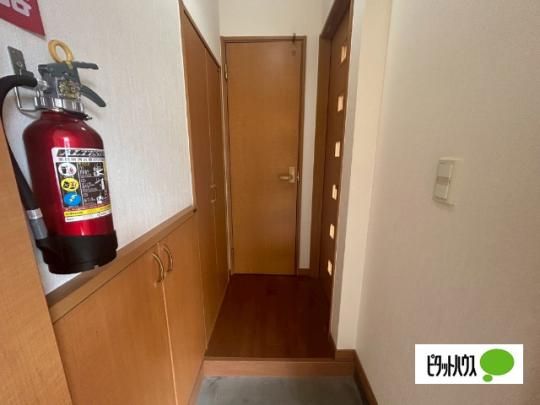 �y���̑��z�@����