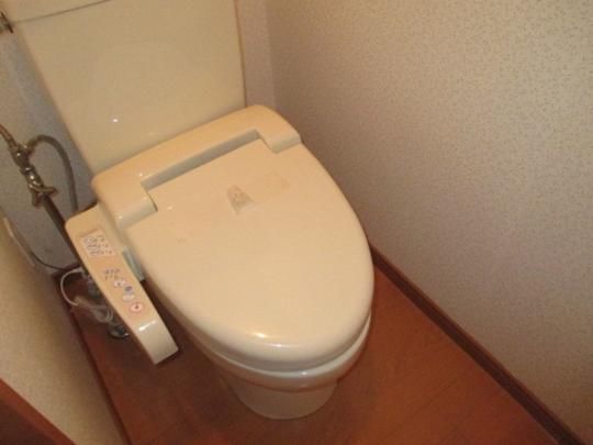 �y���̑��z�@�g�C��