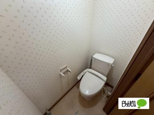 �y���̑��z�@�g�C��