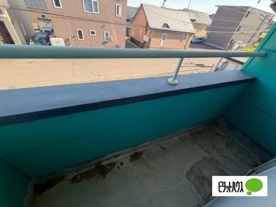�y���̑��z�@�o���R�j�[