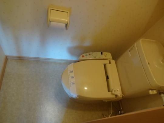 �y���̑��z�@�g�C��