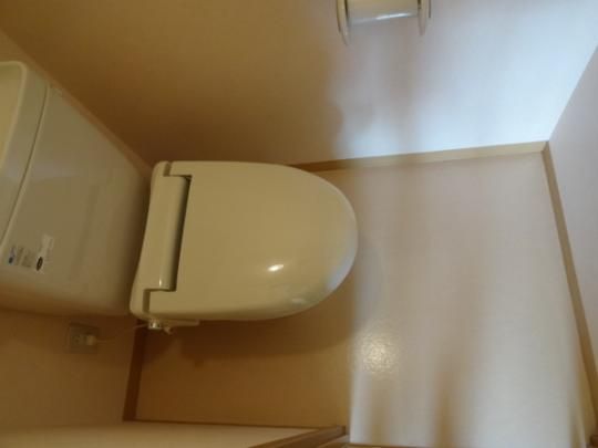 �y���̑��z�@�g�C��