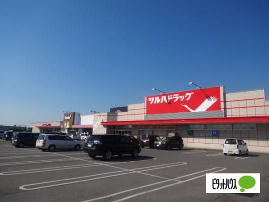 �y���Ӂz�@�c���n�h���b�O�i�R6��X�F593m