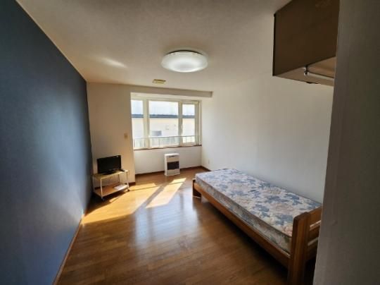 �y���̑��z�@���r���O