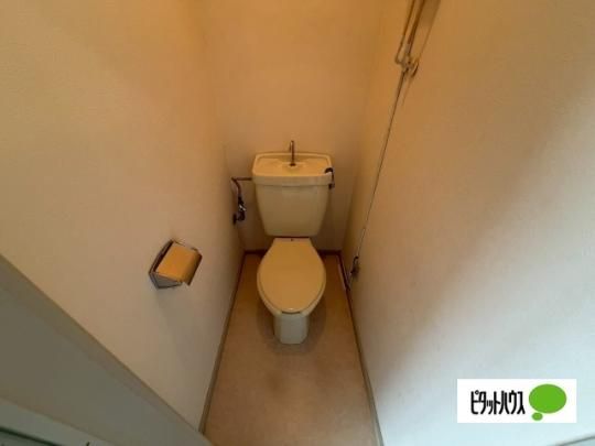 �y���̑��z�@�g�C��
