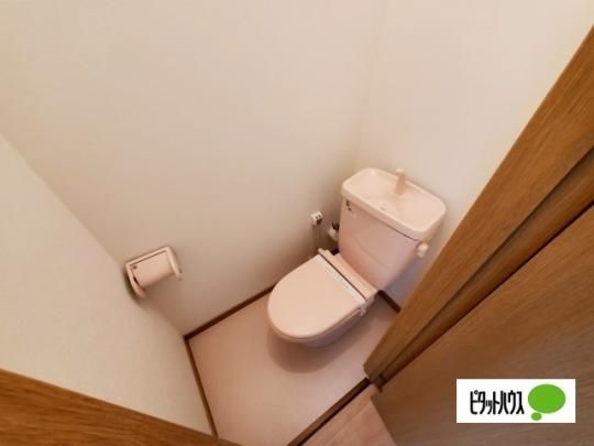 �y���̑��z�@�g�C��