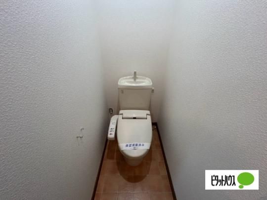 �y���̑��z�@�g�C��