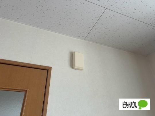 �y���̑��z�@�Z�L�����e�B