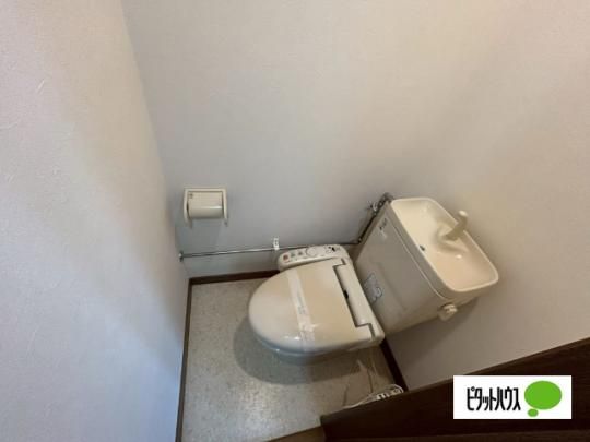 �y���̑��z�@�g�C��