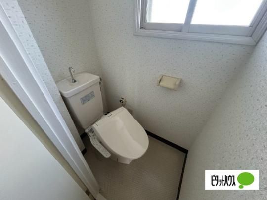 �y���̑��z�@�g�C��