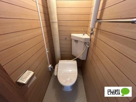 �y���̑��z�@�g�C��