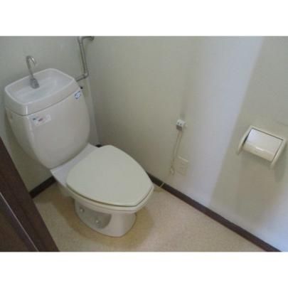 �y���̑��z�@�g�C��