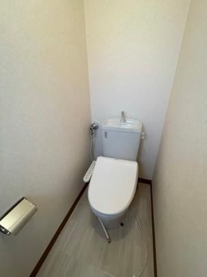 �y���̑��z�@�g�C��
