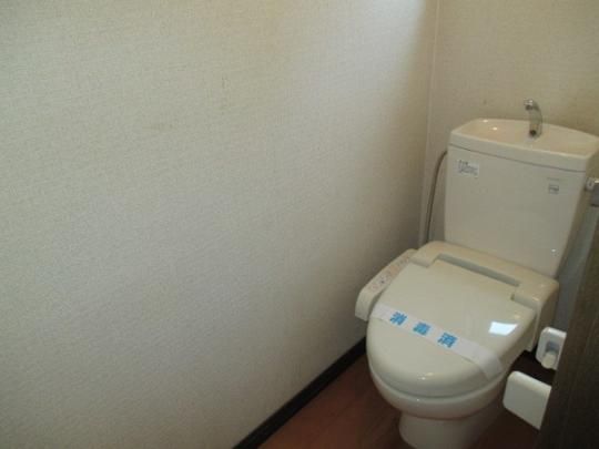 �y���̑��z�@�g�C��