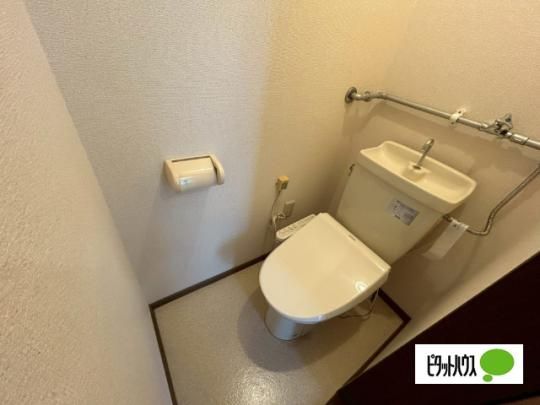 �y���̑��z�@�g�C��