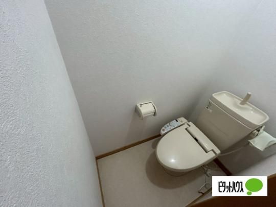 �y���̑��z�@�g�C��