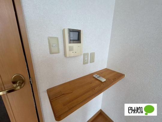 �y���̑��z�@�Z�L�����e�B