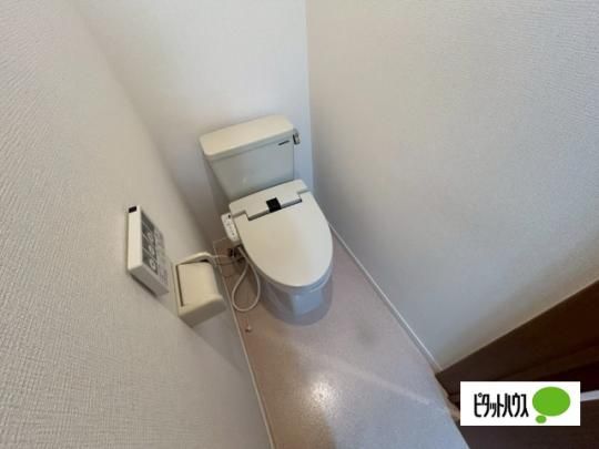 �y���̑��z�@�g�C��