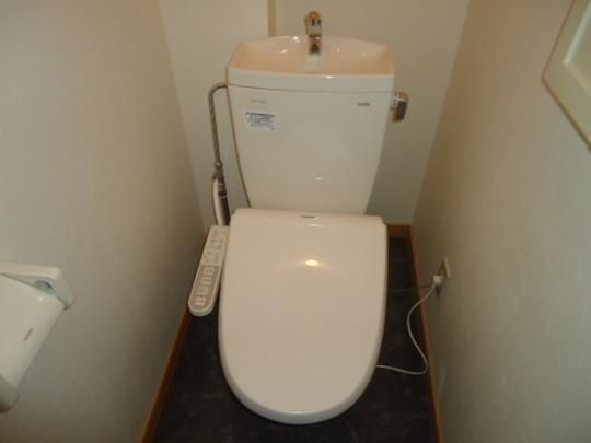 �y���̑��z�@�g�C��