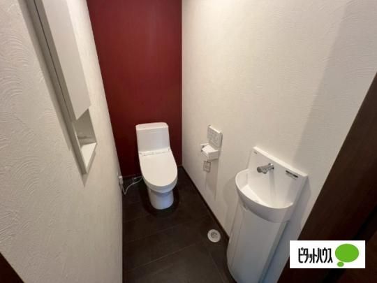 �y���̑��z�@�g�C��