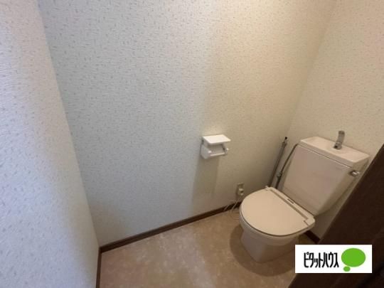 �y���̑��z�@�g�C��