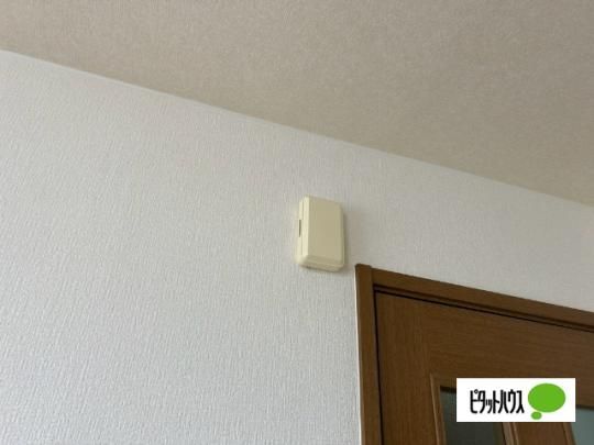 �y���̑��z�@�Z�L�����e�B