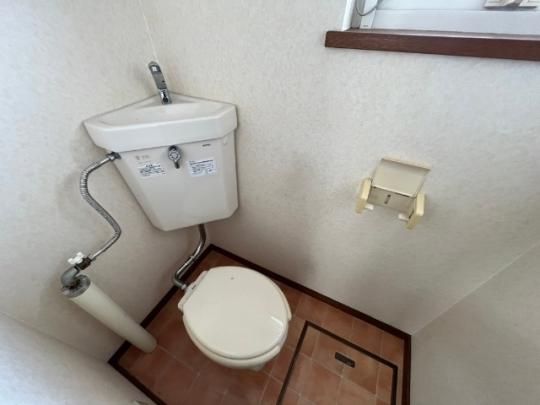 �y���̑��z�@�g�C��