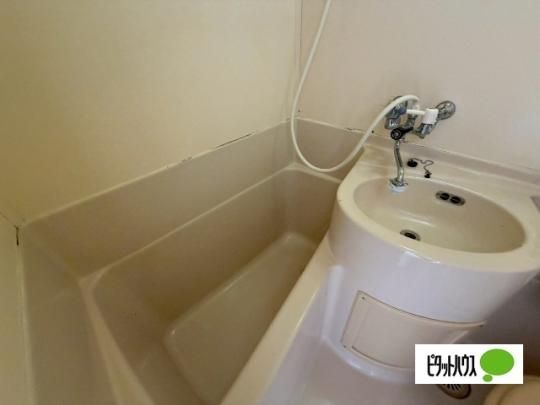 �y���̑��z�@�o�X�^�V�����[